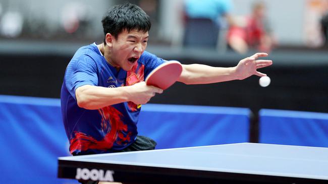 不仅揭示了 不仅揭示了