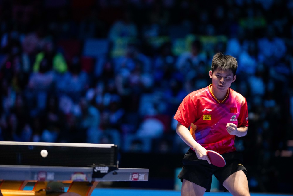 也彰显了教 也彰显了教